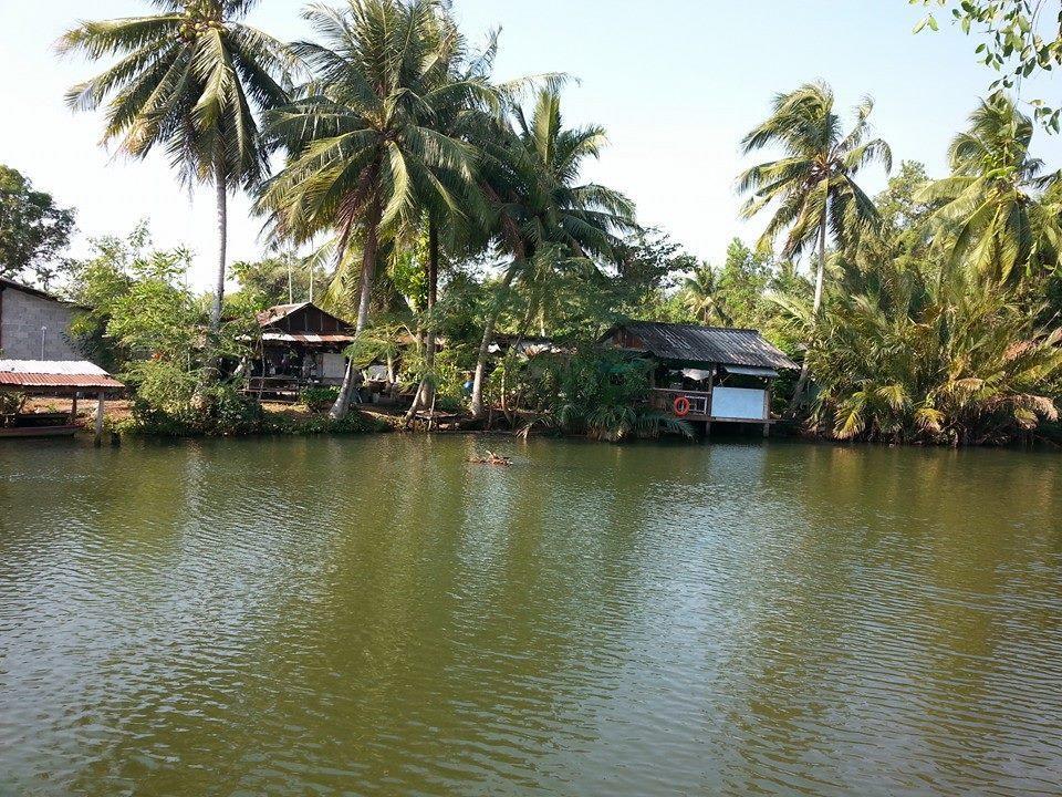 Artist'S Place Trat Kültér fotó